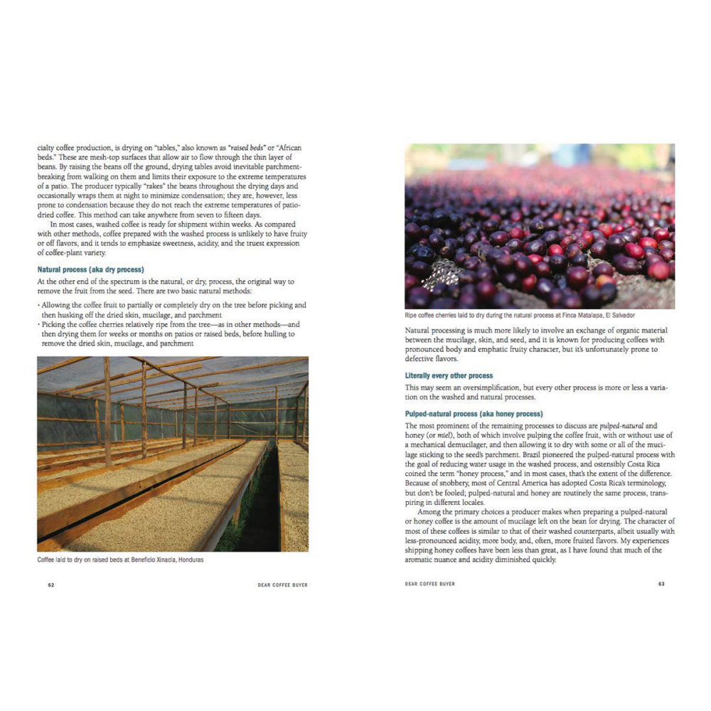 Dear Coffee Buyer - A Guide to Sourcing Green Coffee